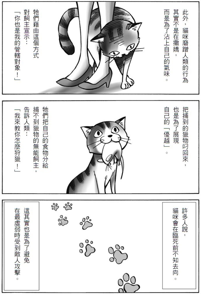 讓貓鑽進鑽出用的小門 牛頓發明的!_img_4