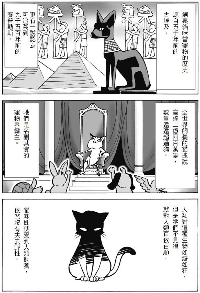 讓貓鑽進鑽出用的小門 牛頓發明的!_img_3