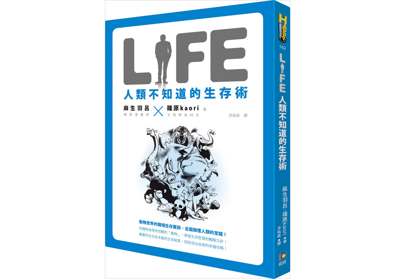 讓貓鑽進鑽出用的小門 牛頓發明的!_img_6