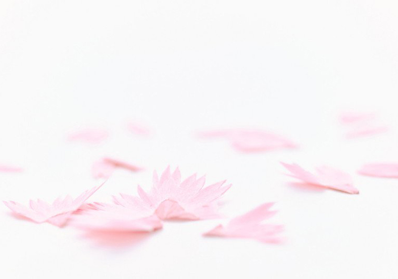 捨不得丟!這筆能削出櫻花、雪花模樣的鉛筆屑_img_2