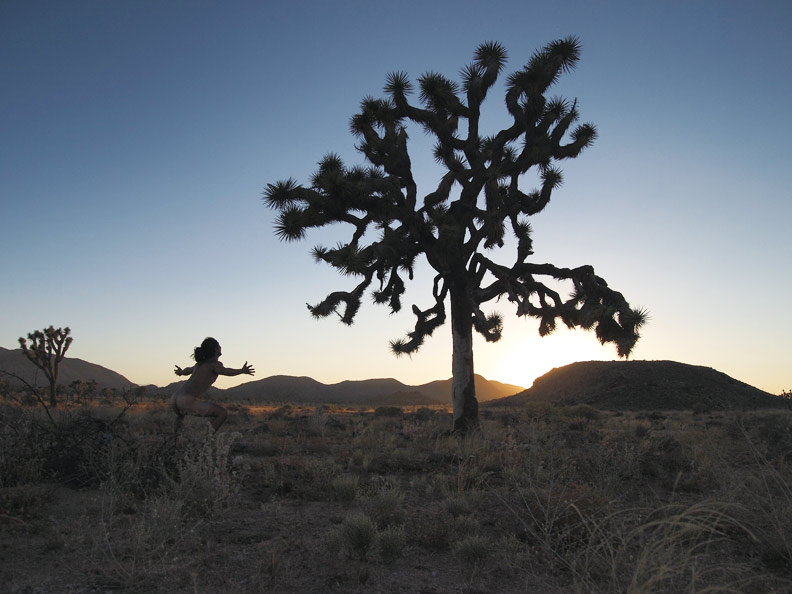 收集日本各地櫻花令其同日綻放 植物獵人的故事_img_2