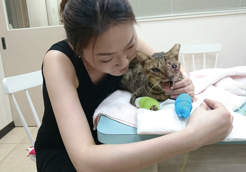 寶貝，你就是我的寶貝