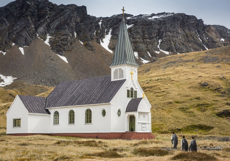 動物其實很搞笑!喜劇攝影獎保證讓你笑破肚皮_img_5