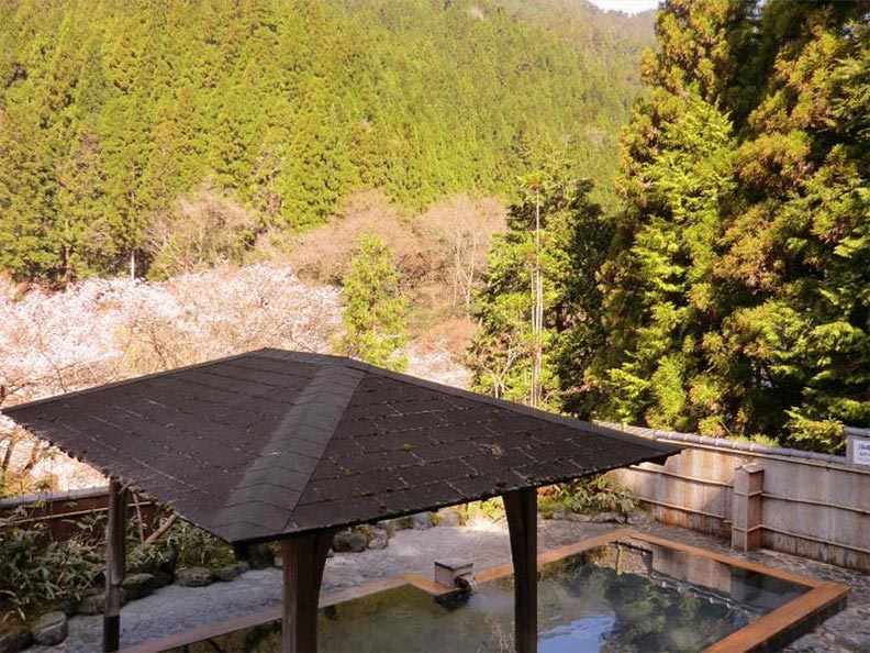 日本旅遊好住處 20家溫泉旅館實住推薦_img_16