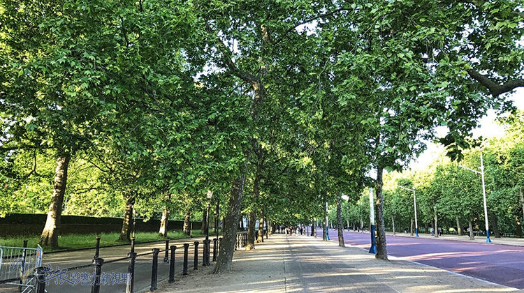 英國倫敦的都市禮讚_img_32