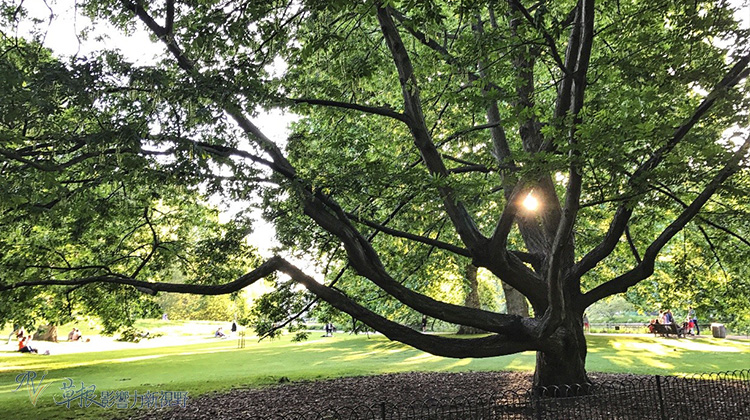 英國倫敦的都市禮讚_img_34