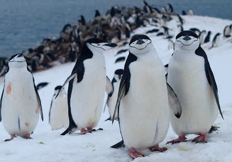 2018大事件:上太空、飛南極、搭上鐵達尼頭等艙_img_4