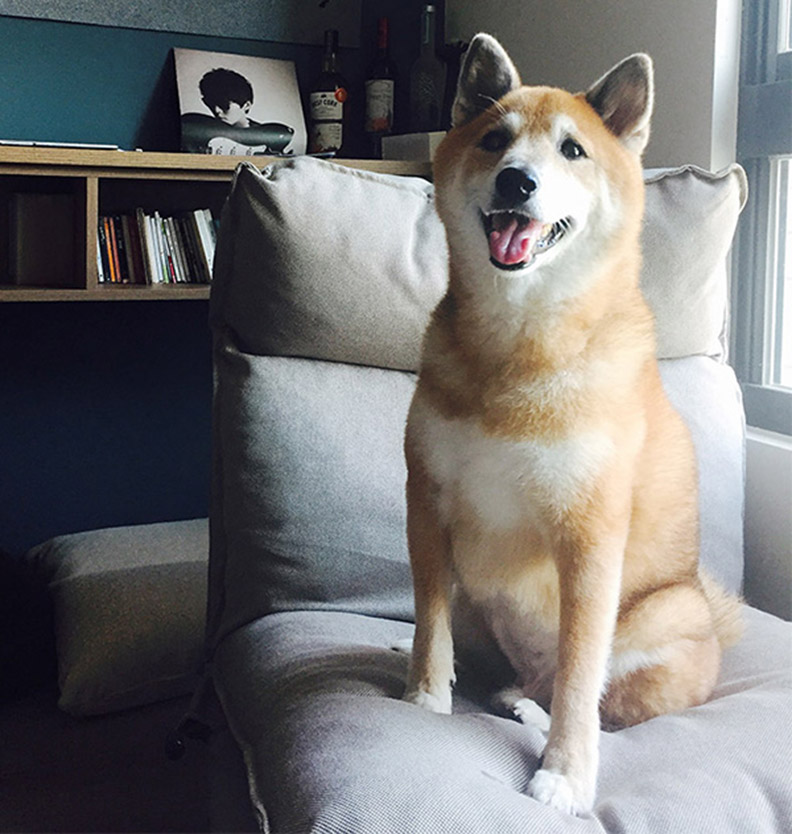 優雅簡約木系宅 兩人一犬小宅生活—台中Jade的家_img_15