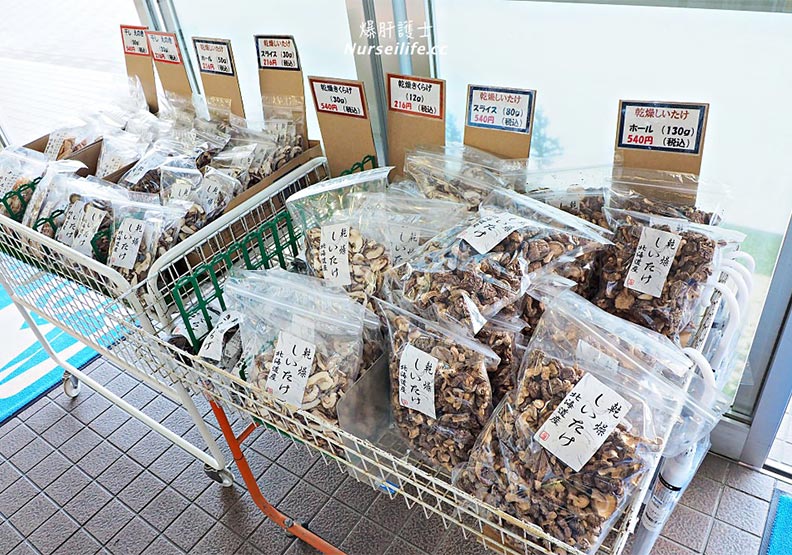 起司滿滿、野菜超便宜 這個北海道休息站好誘人_img_6