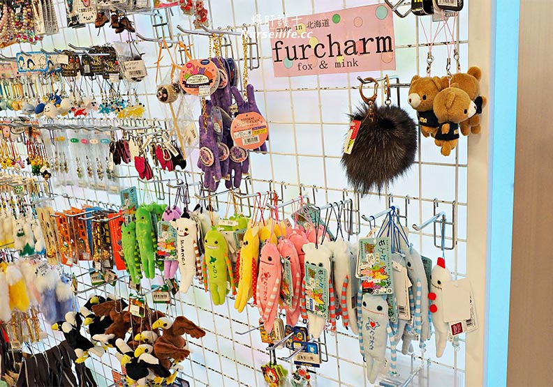 起司滿滿、野菜超便宜 這個北海道休息站好誘人_img_8