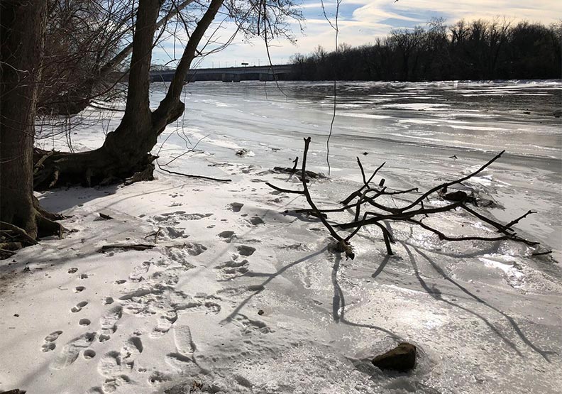 急凍北美 漫漫長冬_img_1