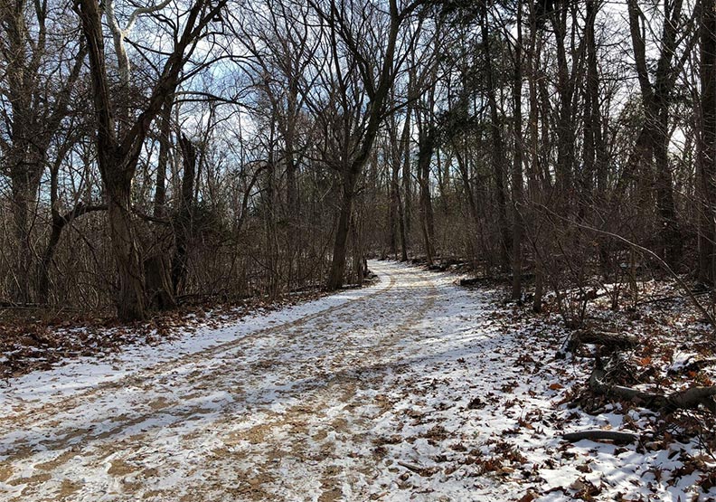 急凍北美 漫漫長冬_img_9