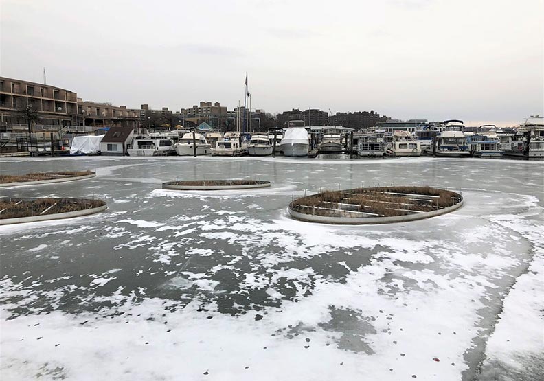 急凍北美 漫漫長冬_img_10