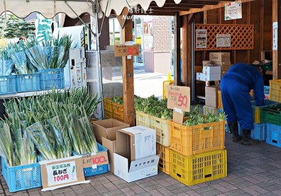 起司滿滿、野菜超便宜 這個北海道休息站好誘人