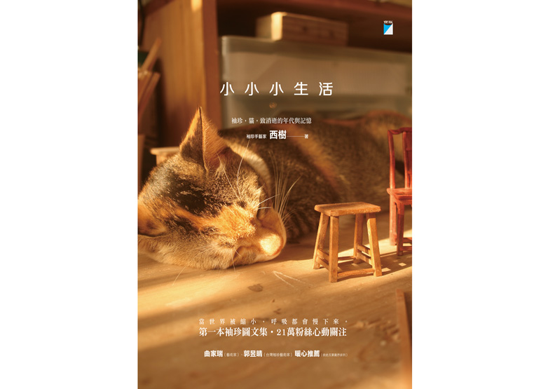 小朋友都喜歡在地上玩_img_8