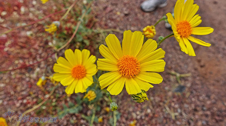 死谷國家公園全攻略_img_3