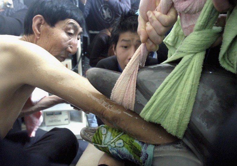 心碎的衝擊:看塑膠對動物傷害多麼巨大_img_11