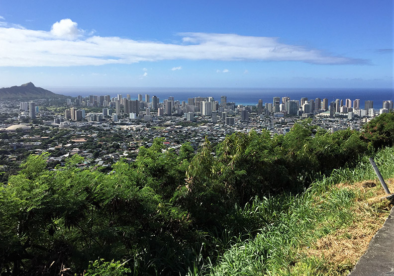 陽光沙灘威基基_img_12