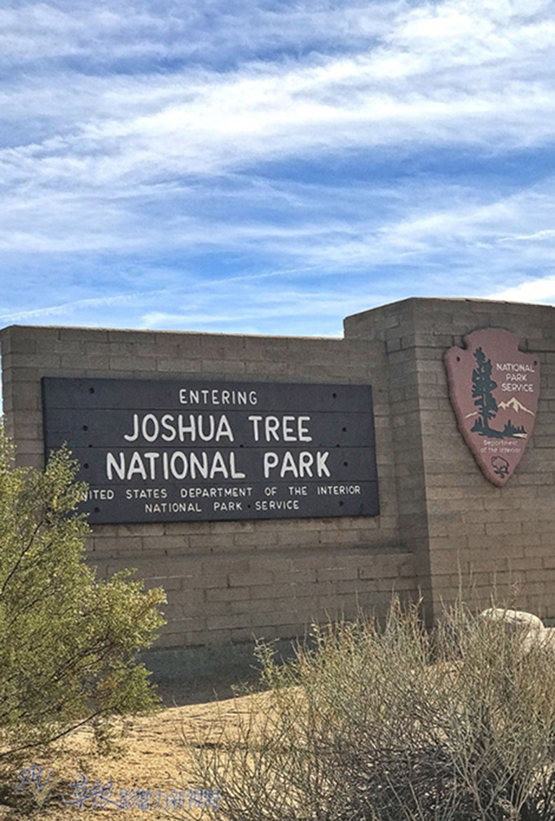 約書亞樹國家公園_img_3