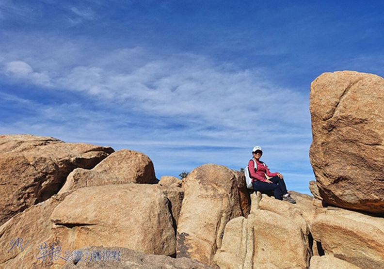 約書亞樹國家公園_img_7