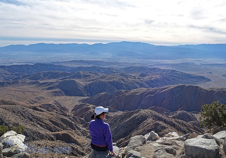 約書亞樹國家公園_img_13