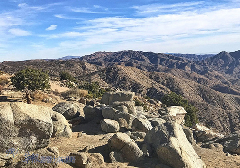 約書亞樹國家公園_img_15