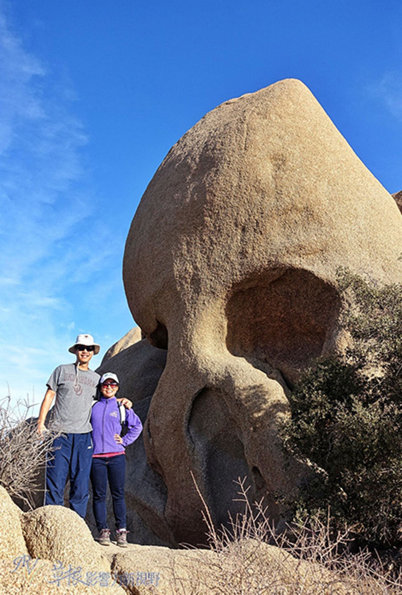 約書亞樹國家公園_img_17