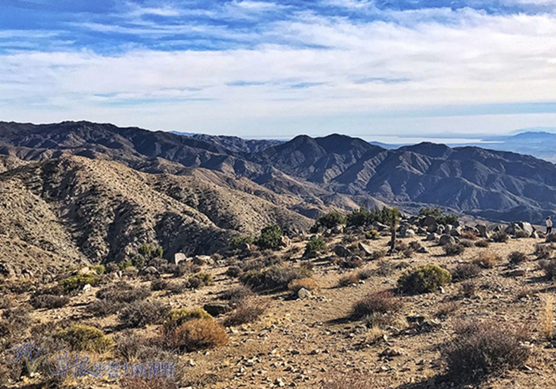 約書亞樹國家公園_img_20