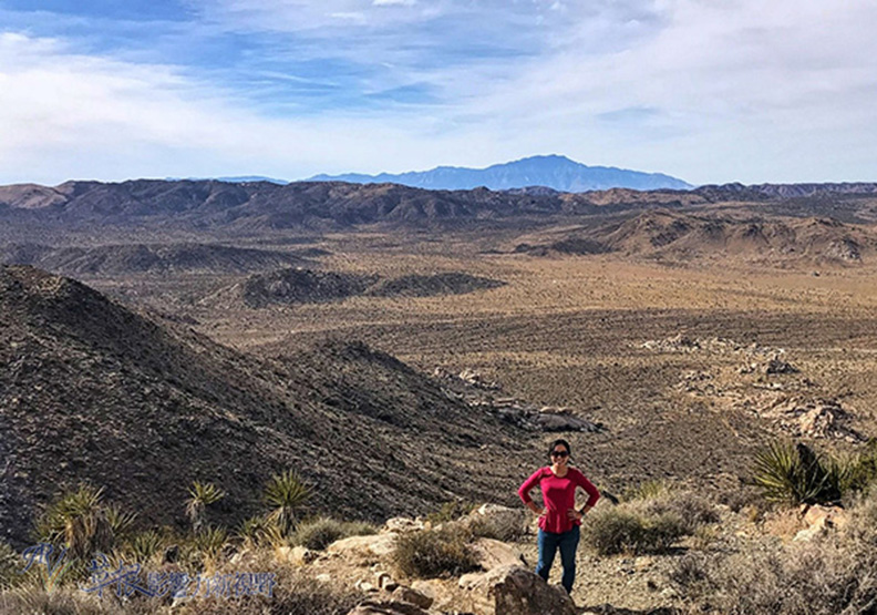 約書亞樹國家公園_img_29