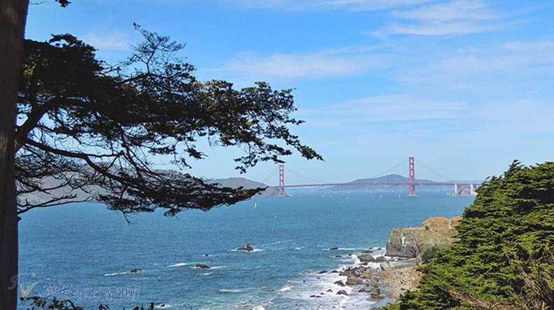 舊金山市區的約會指南_img_2