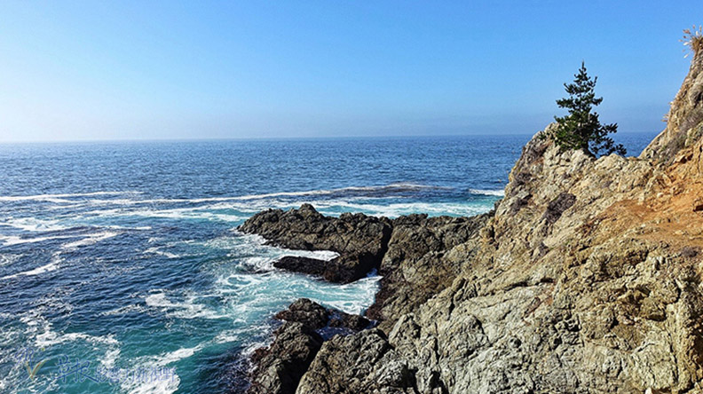 舊金山市區的約會指南_img_16