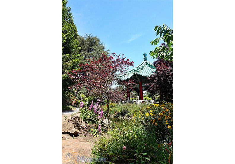 舊金山市區的約會指南_img_18