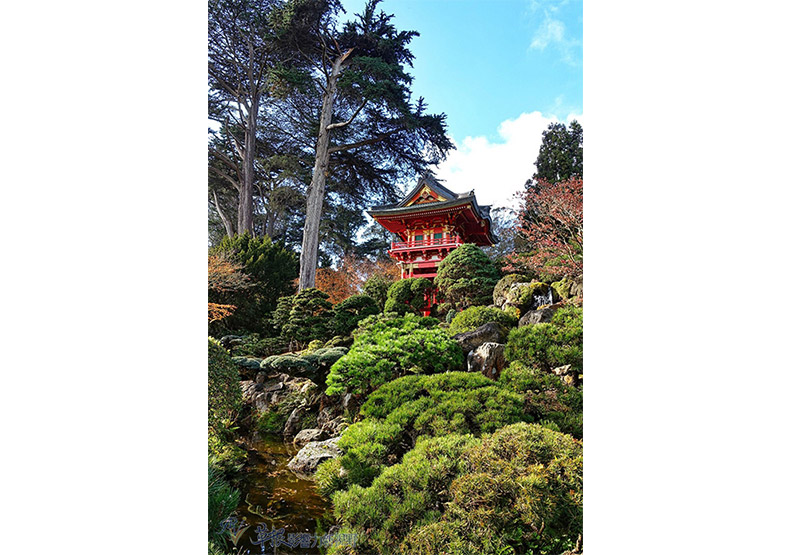 舊金山市區的約會指南_img_20