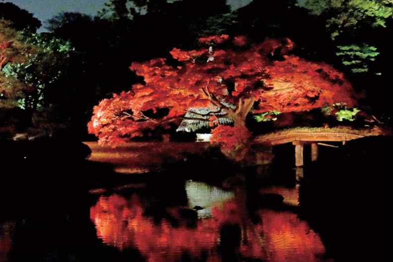 江戶的風雅:將軍、大奧與六義園_img_1