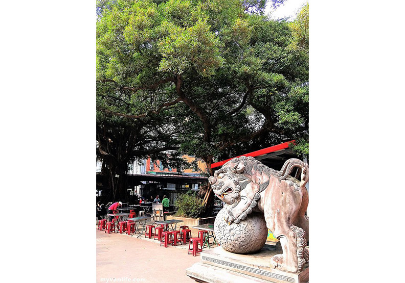 台北食記：廟埕前的排骨湯_img_9