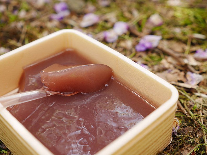 寶塚迷必逛的寶塚花之道跟美味的LEMANS餐廳_img_53