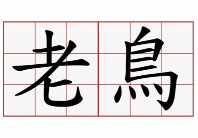 第一份工作主管教我的事