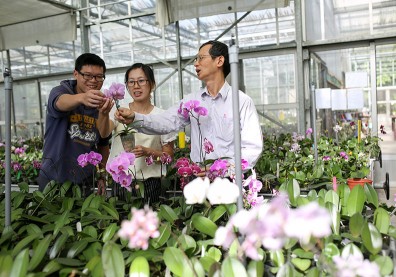 進入門檻高 優勢更勝中、港、東南亞