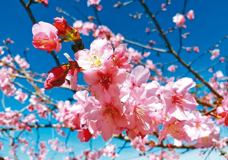 過新年 今天你去哪裡走春?_img_8
