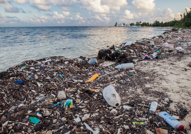 為什麼要用塑膠吸管?你只是吸進了更多罪惡_img_4