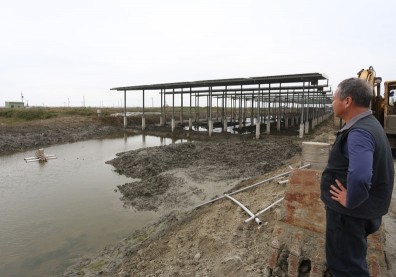 全國先鍘！杜絕假養殖真種電，台南廢止9漁電共生執照