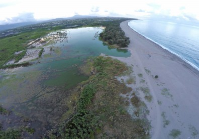 台東226公頃濕地種電 蓋在「是非之地」