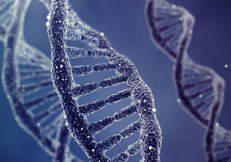 比爾蓋茲大膽斷言:這6種創新可以改變世界_img_2