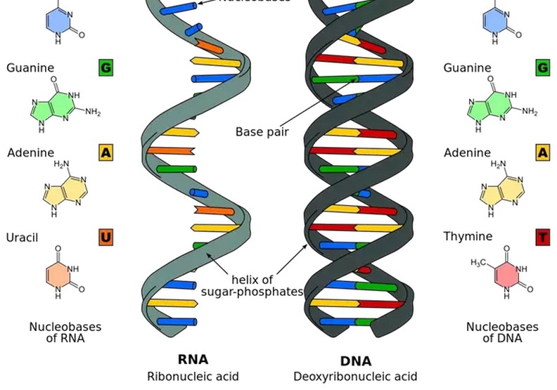 比爾蓋茲大膽斷言:這6種創新可以改變世界_img_4