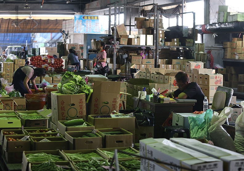 農民親手剷平一畝畝菜園 誰來說句話?_img_5