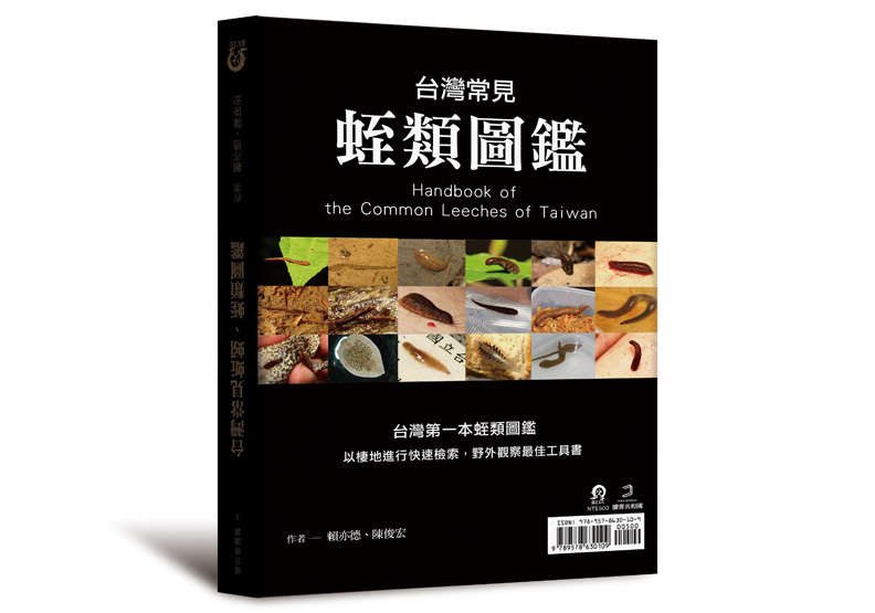 愛吃福壽螺 台灣常見的光潤金線蛭_img_3