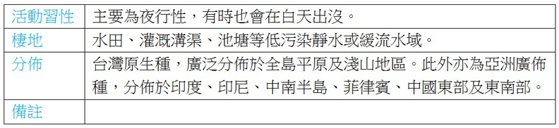 愛吃福壽螺 台灣常見的光潤金線蛭_img_2