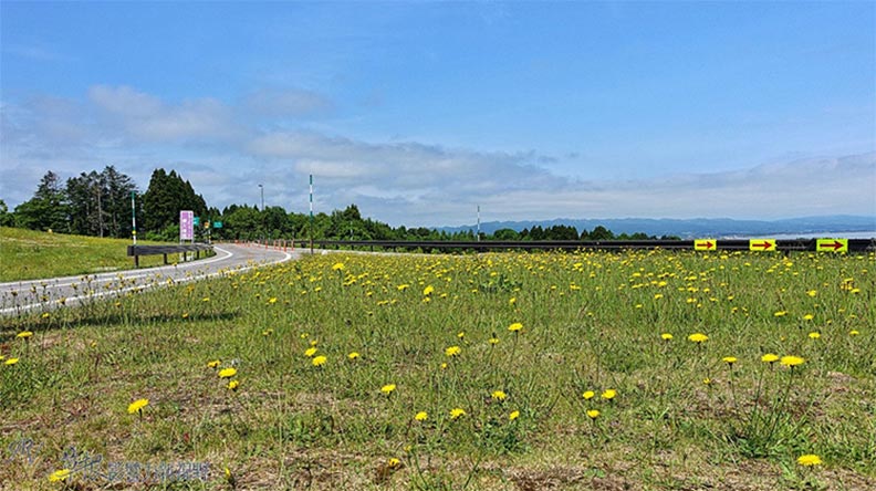 北海道最終章:大沼公園、五稜郭、金森倉庫_img_3