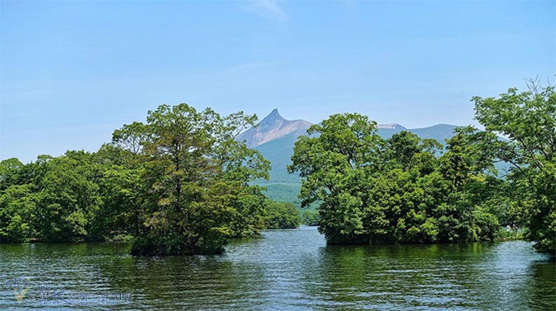 北海道最終章:大沼公園、五稜郭、金森倉庫_img_4