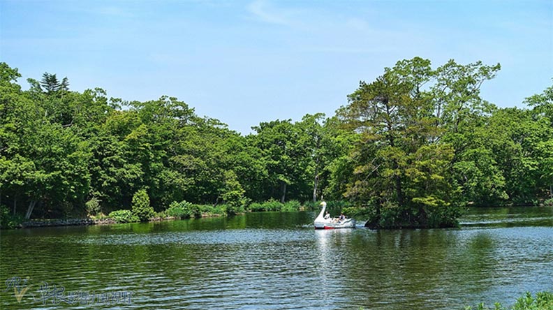 北海道最終章:大沼公園、五稜郭、金森倉庫_img_5